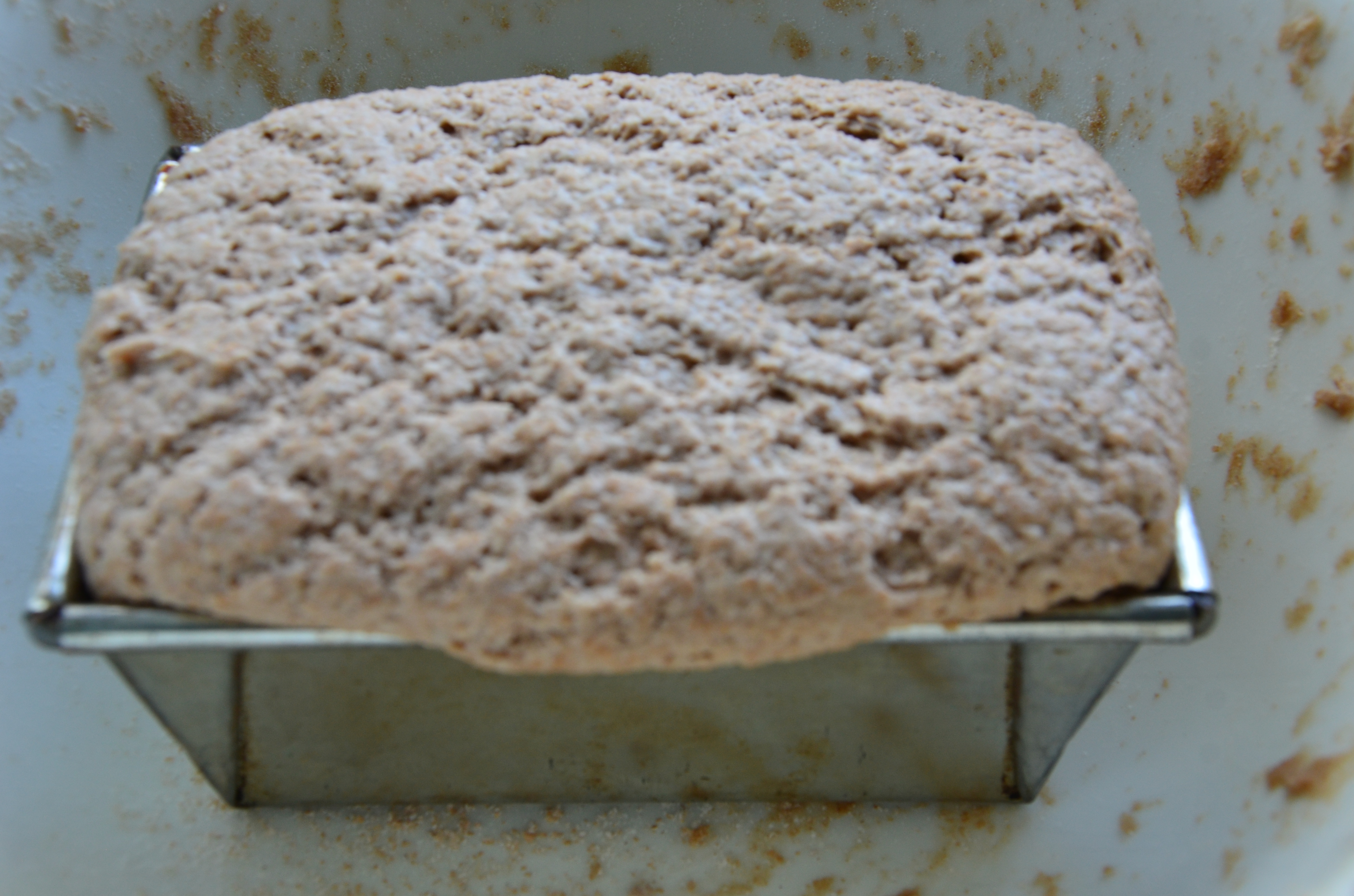 Appendix IV - Making My First Sourdough Loaf | Sour Flour ...